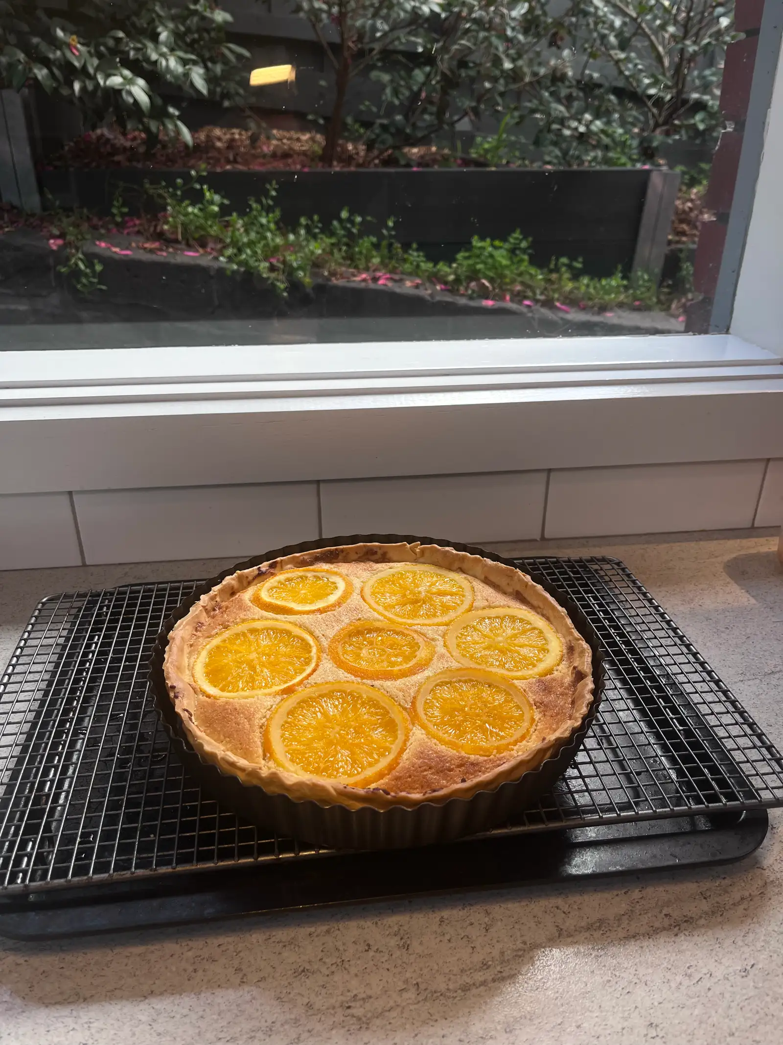 Bitter Bake :D