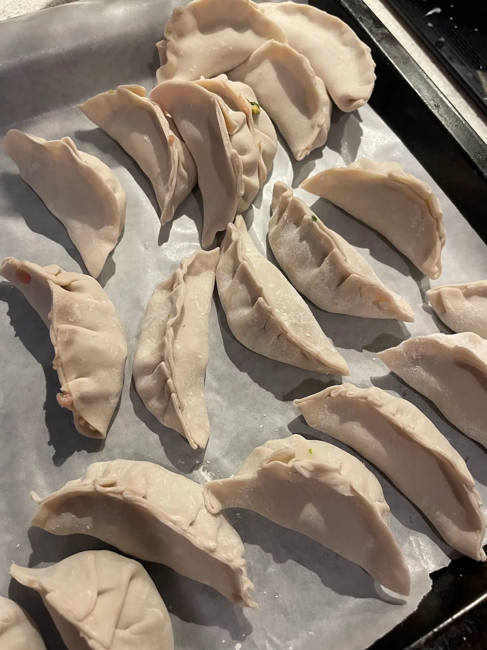 Dumpling Party Recap